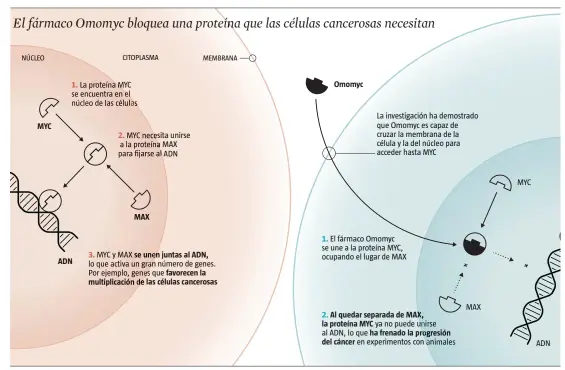  ?? LA VANGUARDIA ?? FUENTE: Vall d’Hebron Instituto de Oncología (VHIO)