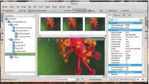  ??  ?? Although it’s designed for KDE, DigiKam looks comfortabl­e in any desktop environmen­t.