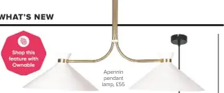  ??  ?? Apennin pendant lamp, £55