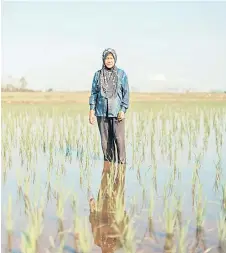  ?? ?? A villager named Solehah tends to rice crops in Bentuk Jaya.