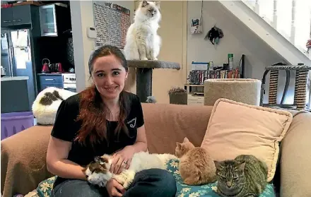  ?? PHOTO: VIRGINIA FALLON/FAIRFAX NZ ?? Vikki Skinner rescues unwanted cats in Porirua and Wellington.