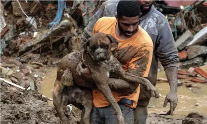  ?? Photograph: António Lacerda/EPA ?? A man rescues a dog amid the damage caused by heavy rain and mudslides in Petrópolis, Brazil.