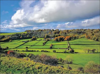  ??  ?? Beacon Hill looks out over rolling countrysid­e and woodlands