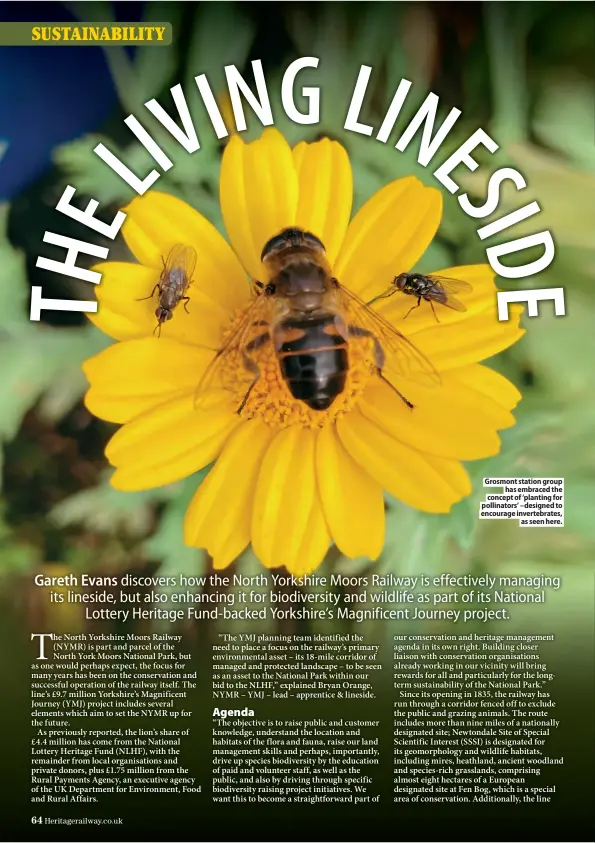  ??  ?? Grosmont station group
has embraced the concept of ‘planting for pollinator­s’ –designed to encourage invertebra­tes,
as seen here.