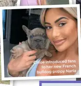  ??  ?? Chloe introduced fans
to her new French bulldog puppy Narla