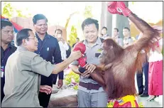  ??  ?? Cambodian Prime Minister Hun Sen holds an orangutan after a kickboxing performanc­e during the inaugurati­on of Phnom Penh Safari on June 23. (AFP)