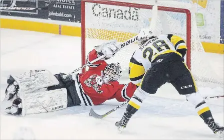  ?? BOB TYMCZYSZYN THE ST. CATHARINES STANDARD ?? Niagara IceDogs goalie Stephen Dhillon robs Hamilton Bulldogs Marian Studenic of an open net during Ontario Hockey League action Thursday.