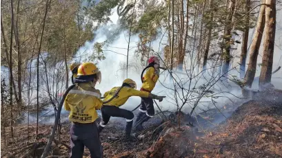  ?? Working on Fire ?? ABOVE:It is expected that there will be an early start to the fire season in the Western Cape this year, as severe blazes have already caused serious damage along the Garden Route.