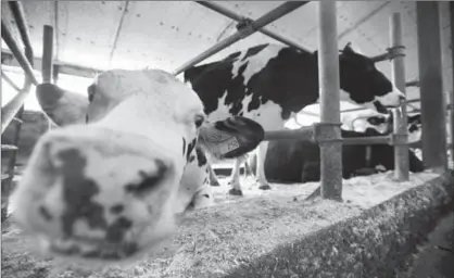  ?? CANADIAN PRESS FILE PHOTO ?? The National farmers Union wrote the U.S. should not ‘undermine a system that benefits family farmers on either side of the border.’