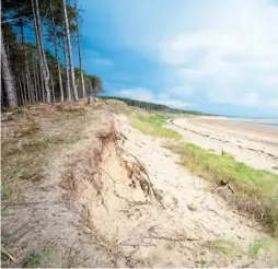  ?? ?? BIG DRAW: The huge beach and dunes at Newborough Warren