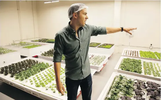  ?? PHOTOS: ERIC RISBERG/THE ASSOCIATED PRESS ?? Iron Ox CEO Brandon Alexander hopes his robotic indoor farm in San Carlos, Calif., will revolution­ize how we grow and distribute produce.