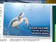  ?? ?? OCEAN HAZARD Turtles are being harmed by plastic