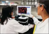  ?? ANDREW CABALLERO-REYNOLDS/AFP/GETTY IMAGES ?? Dr. Sonia Macieiewsk­i, right, and Dr. Nita Patel, Director of Antibody discovery and Vaccine developmen­t, look at a sample of a respirator­y virus at Novavax labs in Rockville, Md. on March 20, one of the labs developing a vaccine for COVID-19.