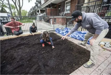  ?? BERNARD WEIL/TORONTO STAR FILE PHOTO ?? Three months ago, Jay Rosenthal, right, and his family began creating their front garden with help from Anthony McCanny and Sarah Kern, in background.