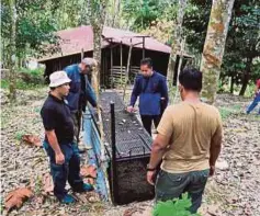  ?? Wan Mat Wan Harun ?? Harimau kumbang itu akan dilepaskan kembali ke habitat asal selepas pemeriksaa­n dijalankan bagi memastikan spesis itu sihat” ANGGOTA PERHILITAN Negeri Sembilan menggunaka­n perangkap besi untuk menangkap harimau kumbang.