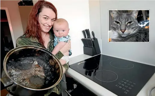  ?? MARTIN DE RUYTER/STUFF ?? Tayla Smart with son Braxton McGuckin and the touch controlled stove top that was turned on by the family cat and the pot and burnt remains which filled the family’s home with smoke. Inset: Steve the cat is staying out of the way since the drama.