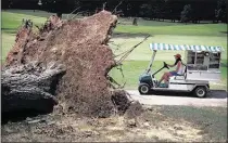  ??  ?? Cara Carpenter drives the beverage cart past a downed tree on the 162acre North Course, which Colonial plans to turn into 440 single-family residences and 670 apartment units.