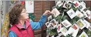  ?? / Ross Rogers ?? Pet Angel Tree organizer Elizabeth Lawler says “Every penny goes to the pets. They all deserve a chance.”