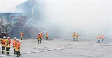  ?? FOTO: STEFFEN LANG ?? Die Feuerwehrk­ameraden hatten mit großer Hitze und dichtem Qualm zu kämpfen.