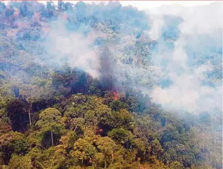  ?? PIC COURTESY OF FIRE DEPARTMENT ?? The fire at the Gunung Korbu Forest Reserve in Sungai Siput, Perak is spreading fast despite firefighte­rs using an MI-17 helicopter to carry out water bombing yesterday.