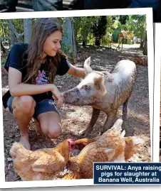  ?? ?? SURVIVAL: Anya raising pigs for slaughter at Banana Well, Australia