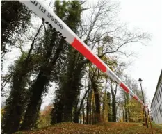  ?? Foto: Marcus Merk ?? Ein kleiner Pilz ist dafür verantwort­lich, dass am Kloster in Thierhaupt­en 45 Eschen gefällt werden müssen.