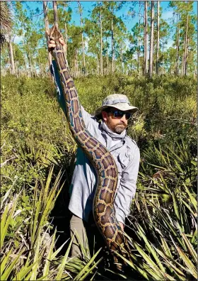  ?? ?? Bartoszek holds a 15-foot female Burmese python in February in Florida. The snake was captured by tracking a male scout snake in Picayune Strand State Forest.