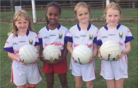  ??  ?? Participan­ts at the Cork Ladies Football Summer Camp held in Banteer last week