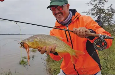  ??  ?? En la Costa de Domínguez pudimos bajar a la ribera para castear en fly. Los doradillos, todos calcados: no hubo grandes piezas pero sí pesca entretenid­a.