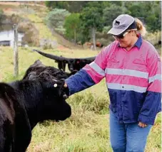  ??  ?? Mandy Tennent with one of her placid lowline heifers. Mandy said the breed have strong maternal traits.