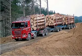  ??  ?? The temptation for forest owners to sell logs early can be considerab­le.