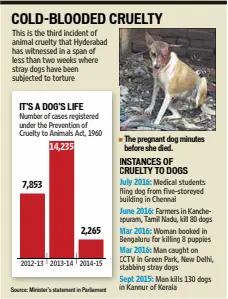  ?? Source: Minister’s statement in Parliament ?? The pregnant dog minutes before she died.