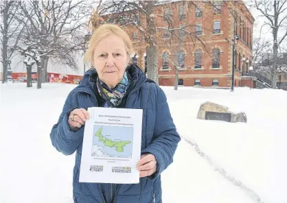  ?? RYAN ROSS/THE GUARDIAN ?? Anti-poverty activist Mary Boyd holds up the 2019 report on child poverty in P.E.I. outside the Coles Building in Charlottet­own.