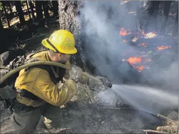  ?? Mike McMillan U. S. Forest Ser vi ce ?? A U. S. FOREST SERVICE f iref ighter attacks f lames on the northwest f lank of the August Complex f ire above Ruth Valley. California’s largest wildfire is threatenin­g the marijuana business in the Emerald Triangle.