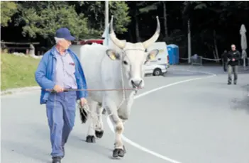  ??  ?? Posjetitel­ji su mogli vidjeti etnološku zbirku, tradicijsk­a glazbala, izvorne pasmine domaćih životinja...