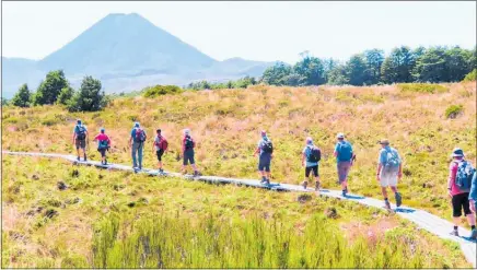  ?? Photo / Graeme Jordan ?? Monday walkers head across a boardwalk on the Silica Rapids hike.