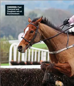  ??  ?? CHEERED: Paul Townend and Faugheen win at Punchestow­n