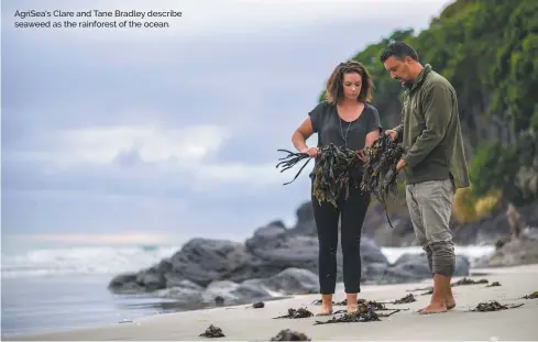  ?? ?? AgriSea's Clare and Tane Bradley describe seaweed as the rainforest of the ocean.