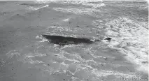  ?? VENICE, FLORIDA MUNICIPAL GOVERN TNS ?? An endangered sperm whale was discovered March 9, off Venice, Florida, and attempts to offer aid had been hampered by dangerous conditions, according to the Venice Police Department. Venice is about a 70-mile drive south from Tampa.