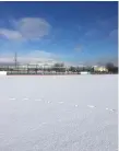  ??  ?? The Showground­s astro covered in the recent snow.