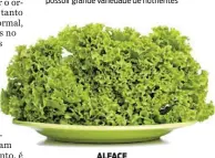  ??  ?? ALFACE Rica em nutrientes e clorofila; e tem a função de alcaliniza­r e desintoxic­ar