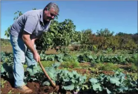  ?? CAIN BURDEAU VIA AP ?? Onofrio Urso is seen hoeing on a piece of land in Puglia’s fertile Valle d’Itria in Italy where he grows a variety of vegetables and fruit.