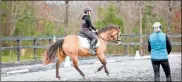  ?? Gray Mccurdy Photograph­y ?? This is the canter I ended up with from Ava after my clinic with Stephanie Mosely (right). Mosely helped me achieve the upright posture and enhanced self carriage Ava is displaying here.