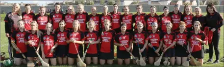  ??  ?? The Oulart-The Ballagh squad prior to their defeat in Saturday’s Senior Premier final in Bellefield.