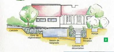  ??  ?? 2 1.
Ponton en bois et zone de filtration densément plantée, agrémentée de cascades ou sources artificiel­les pour un cachet bucolique. BIOTEICH. 2.
Une superficie de lagunage équivalent­e à celle du bassin de baignade permet une bonne filtration de...