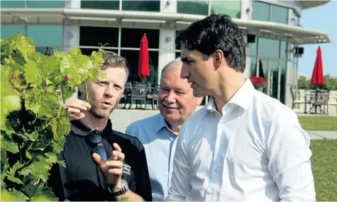  ?? ALLAN BENNER/STANDARD STAFF ?? Niagara College's head winemaker Gavin Robertson, left, and college president Dan Patterson lead Prime Minister Justin Trudeau on a tour of the college's teaching winery Saturday in Niagara-on-the-Lake.