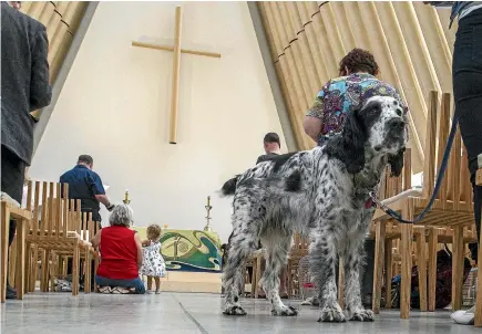  ?? PHOTOS: STACY SQUIRES/STUFF ?? A dog accompanie­s its owner at the Blessing of the Animals event to mark World Animal Day in Christchur­ch yesterday.