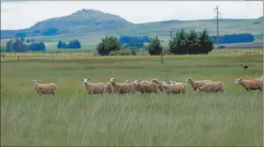  ?? CEDOC PERFIL ?? FIESTAS. La zona de sierras invita a muchas celebracio­nes populares con aire de campo.