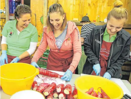  ?? FOTO: ELKE OBSER ?? Beim Rettichfes­t muss das Gemüse zubereitet werden: Am besten schmeckt es in Rädchen geschnitte­n.