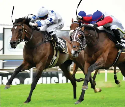  ?? Picture: JC Photograph­ics ?? GUTSY: Mount Laurel (left) hangs on under Craig Zackey to beat Victoria Paige (out of picture) and stablemate Magic School to win the Grade 3 Three Troika Stakes over 1400m at Turffontei­n on Saturday.